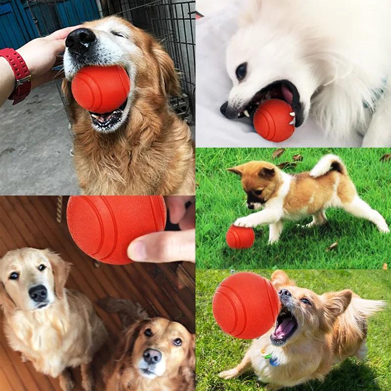 Dog Toy Bola de borracha Brinquedo de bola resistente a mordidas