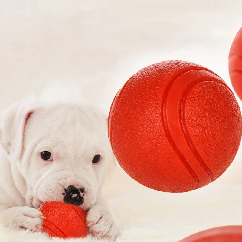 Dog Toy Bola de borracha Brinquedo de bola resistente a mordidas