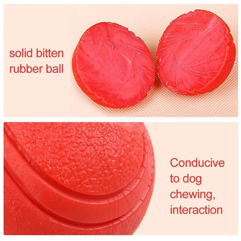 Dog Toy Bola de borracha Brinquedo de bola resistente a mordidas